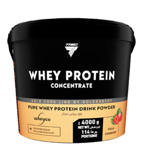 WHEY PROTEIN (4000G)