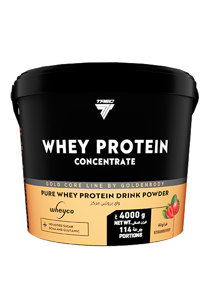 WHEY PROTEIN (4000G)