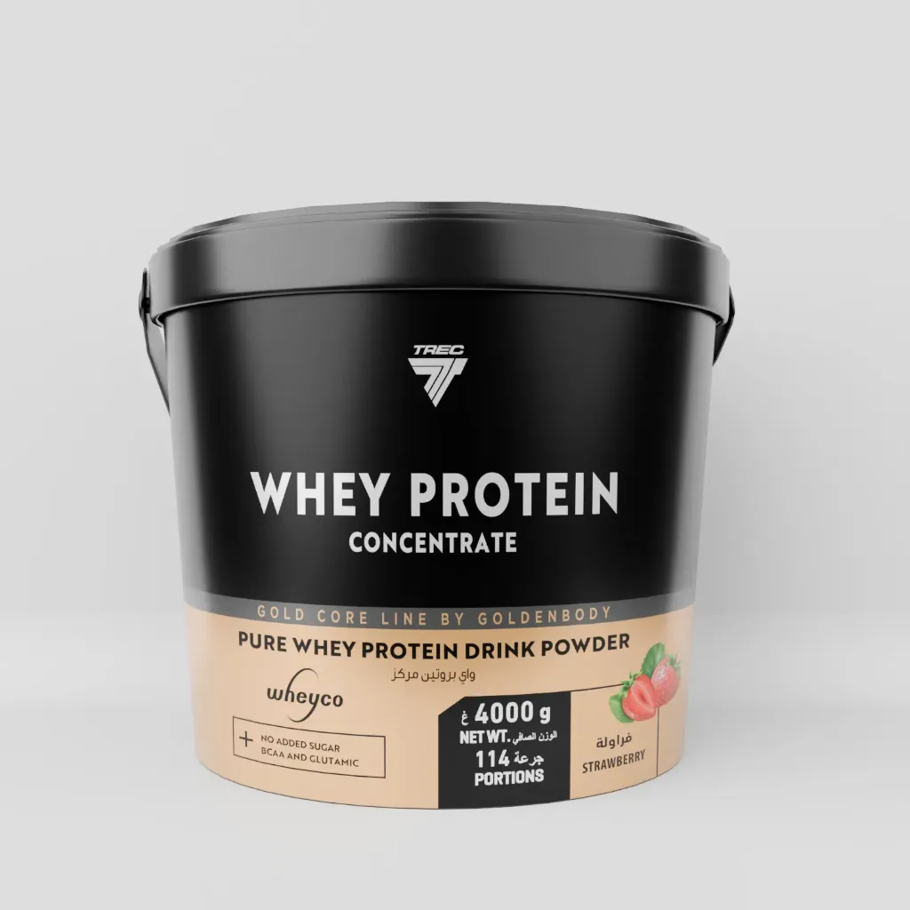 WHEY PROTEIN (4000G)