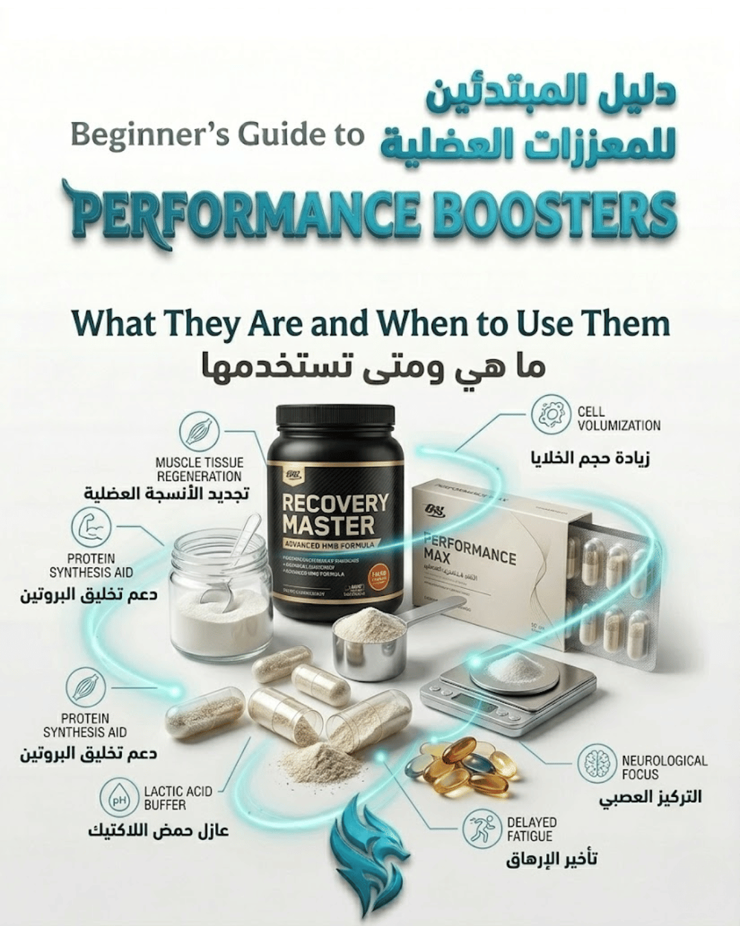 Beginner’s Guide to Performance Boosters: What Works for Muscle Growth and Recovery