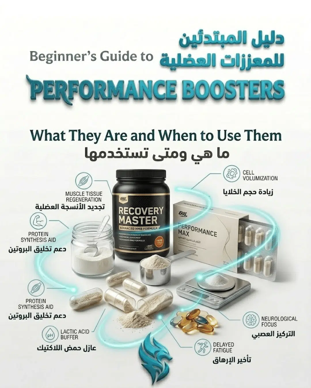 Beginner’s Guide to Performance Boosters for Muscle & Recovery