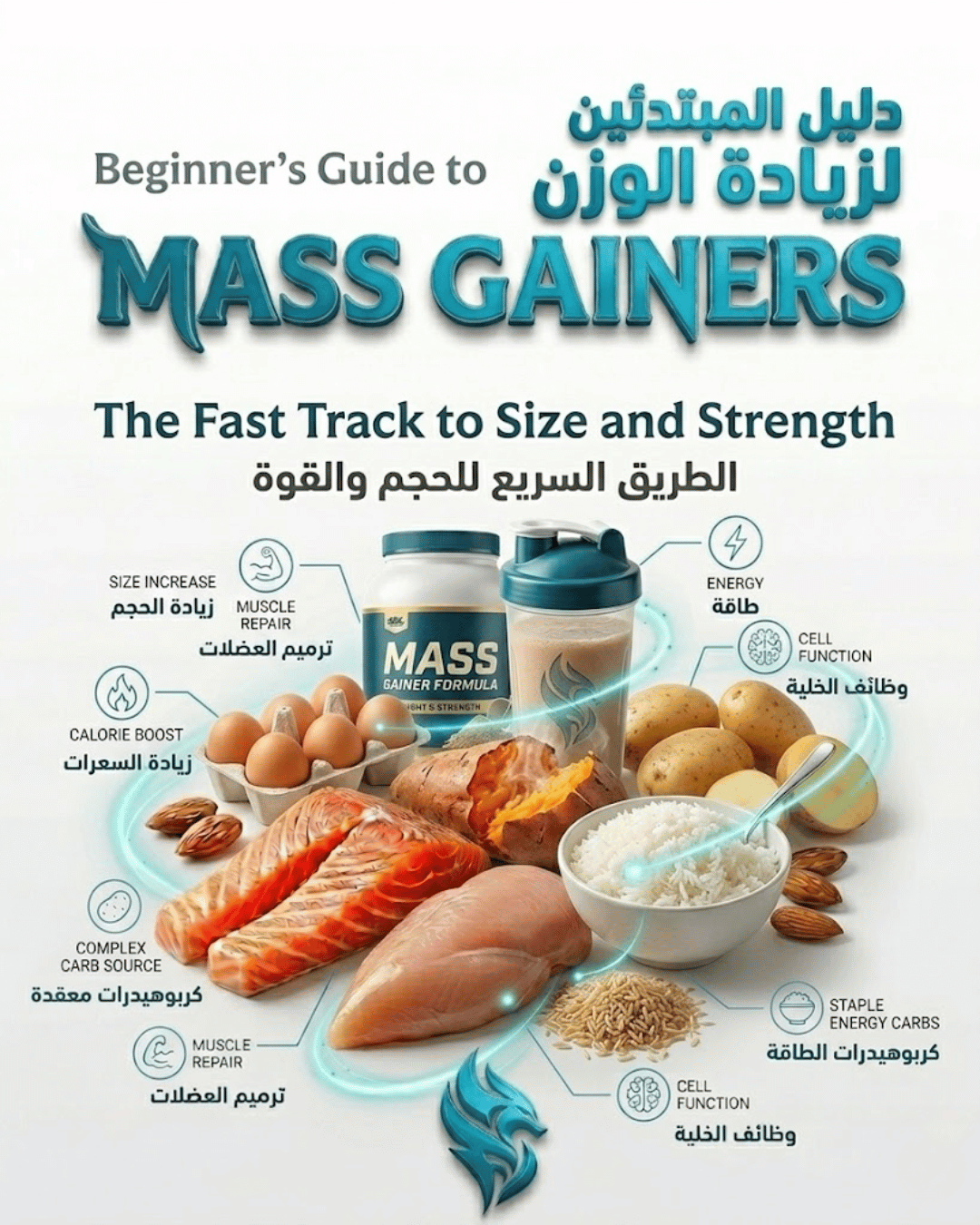 Beginner’s Guide to Mass Gainers: When to Use Them and If You Really Need One