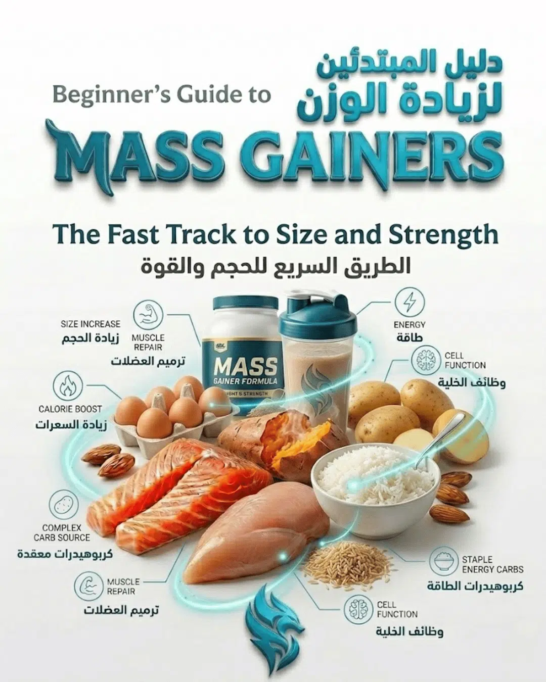Beginner’s Guide to Mass Gainers: When to Use Them and If You Really Need One