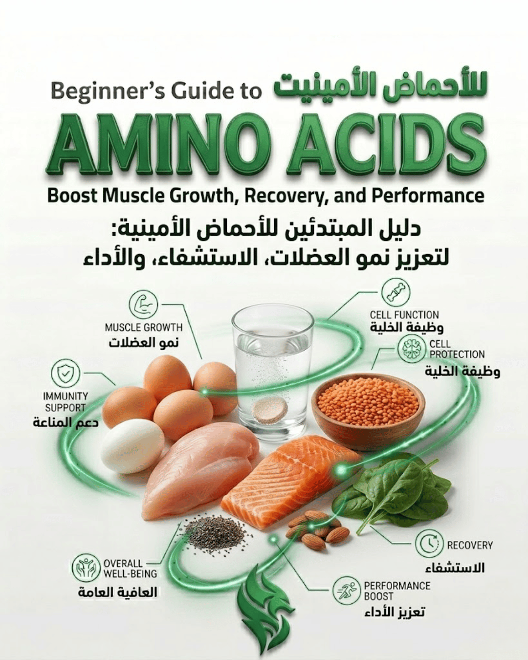 Beginner’s Guide to Amino Acids: Boost Muscle Growth, Recovery, and Performance