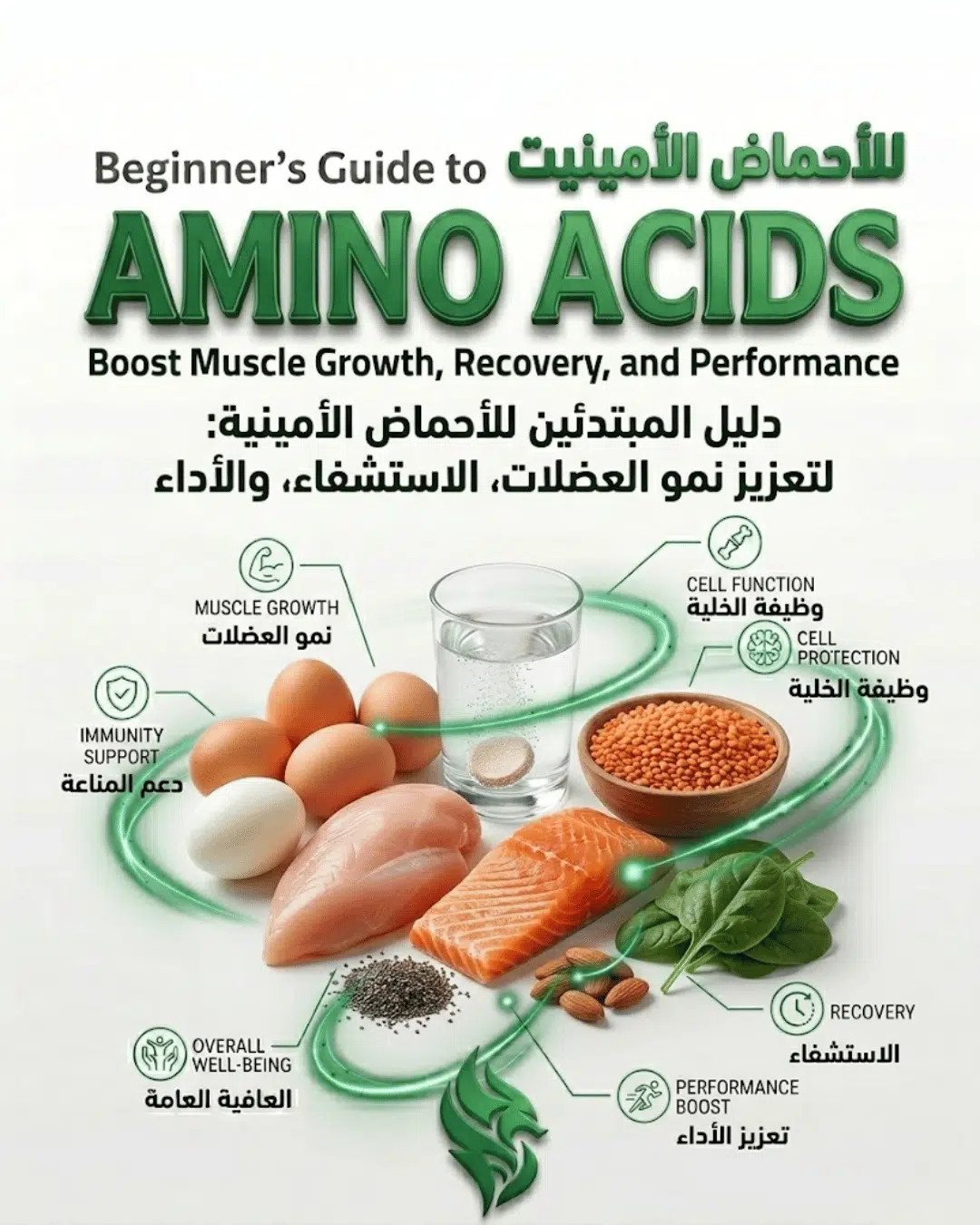 Beginner’s Guide to Amino Acids: Boost Muscle Growth, Recovery, and Performance